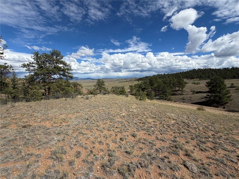 Photo of Wren Court, Hartsel, CO 80449 (MLS # S1071662)