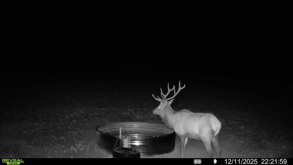 Photo of CR 19, Maybell, CO 81640 (MLS # S1064376)