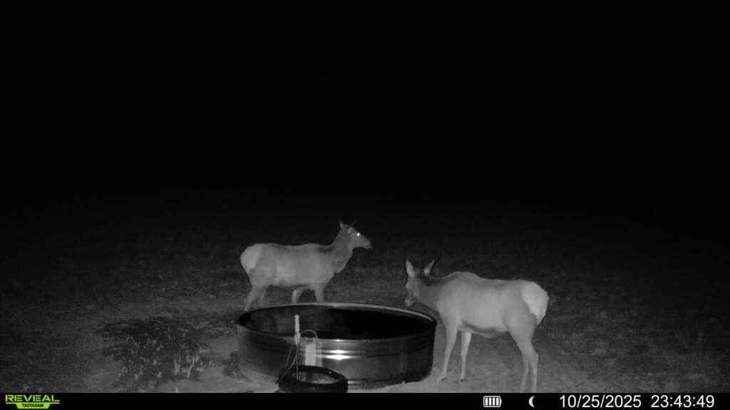 Photo of CR 19, Maybell, CO 81640 (MLS # S1064376)