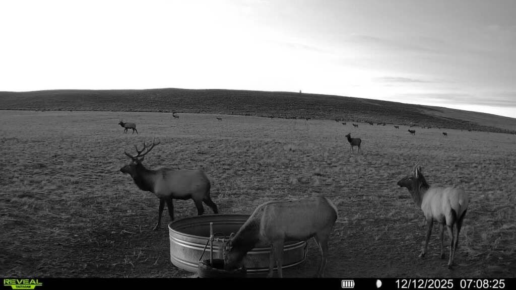 Photo of CR 19, Maybell, CO 81640 (MLS # S1064376)