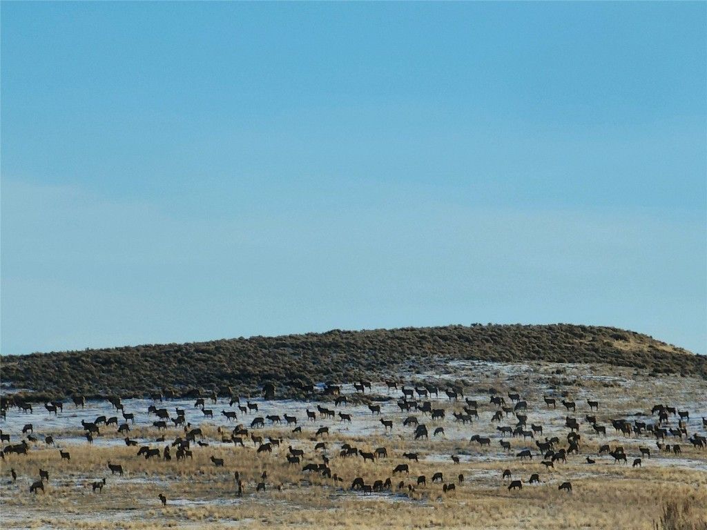 Photo of CR 19, Maybell, CO 81640 (MLS # S1064376)