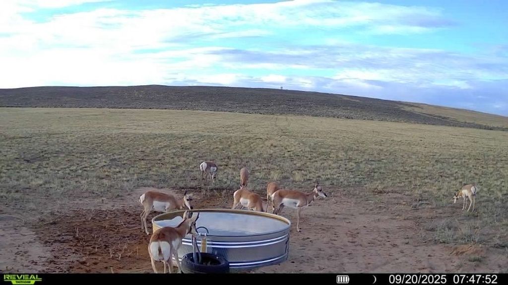 Photo of CR 19, Maybell, CO 81640 (MLS # S1064376)