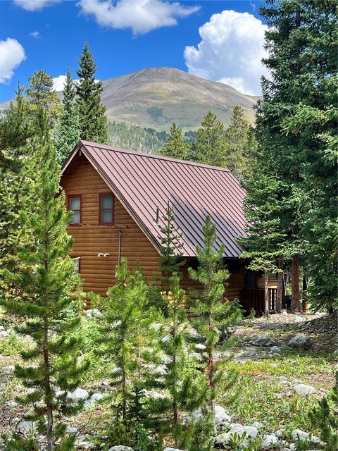 Photo of 29 Gregory Circle, Breckenridge, CO 80424 (MLS # S1059452)