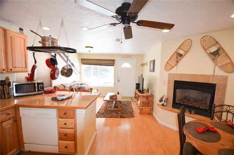 Photo of 414 Tenderfoot Street #1A, Dillon, CO 80435 (MLS # S1064363)