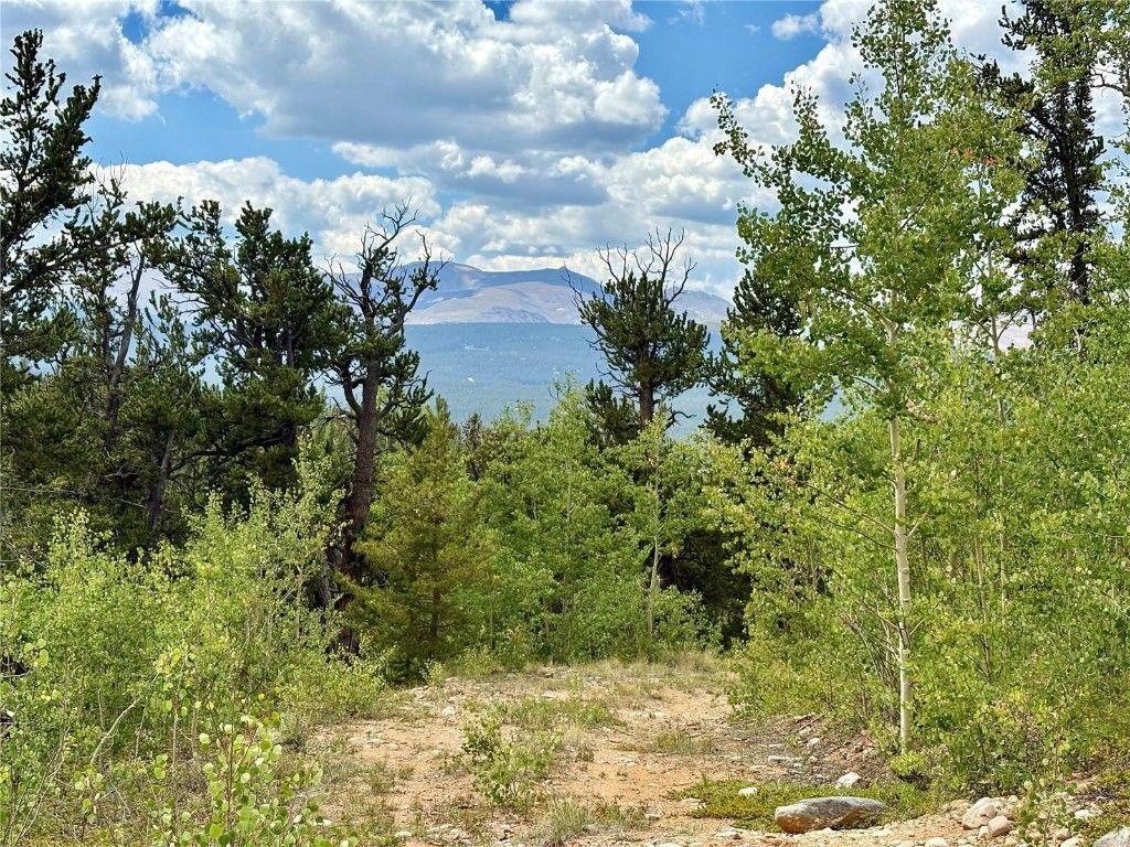 Photo of Beaver Creek Road, Alma, CO 80420 (MLS # S1064058)