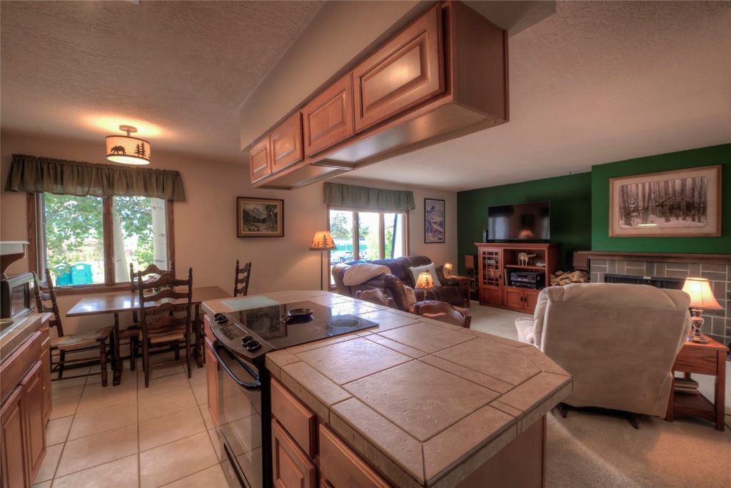 Photo of 240 E La Bonte Street #35, Dillon, CO 80435 (MLS # S1065850)