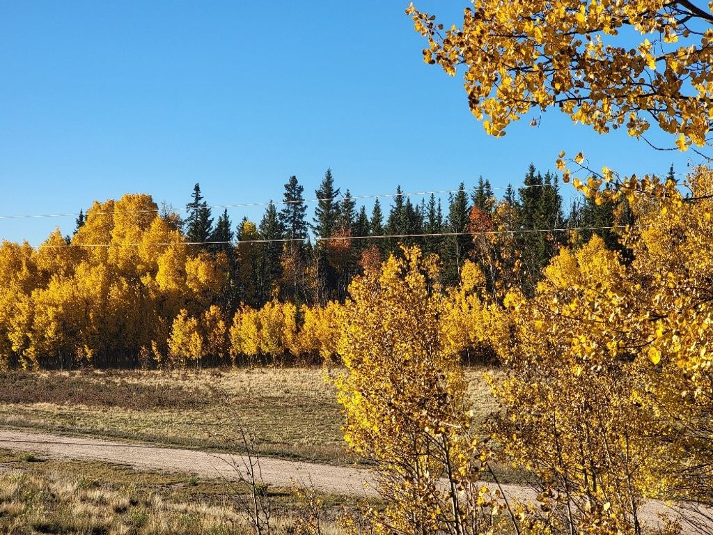 Photo of 287 Mustang Trail, Fairplay, CO 80432 (MLS # S1064286)