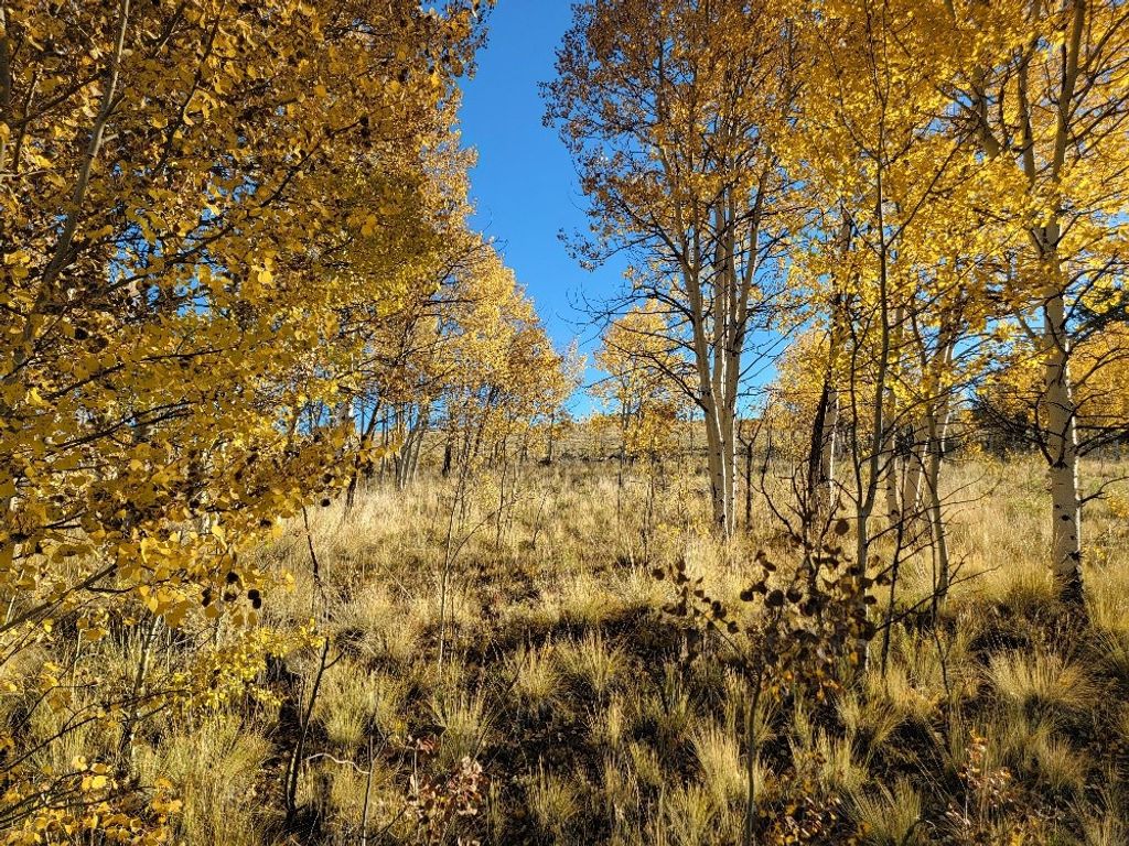 Photo of 287 Mustang Trail, Fairplay, CO 80432 (MLS # S1064286)