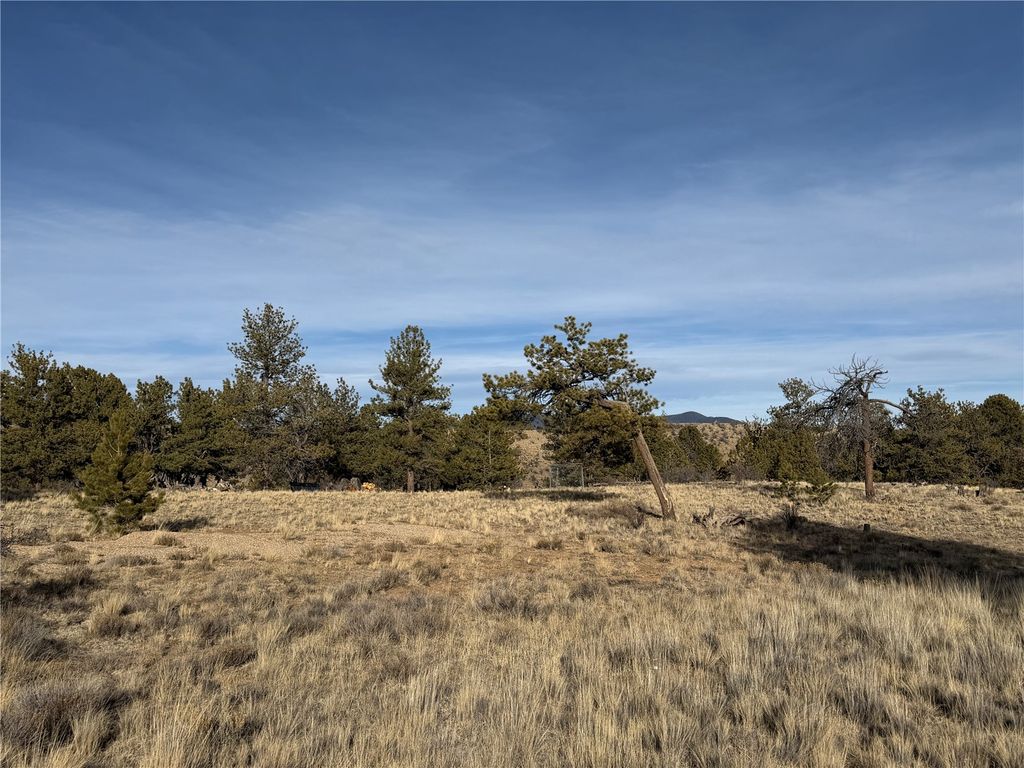 Photo of Oak Street, Hartsel, CO 80449 (MLS # S1066395)