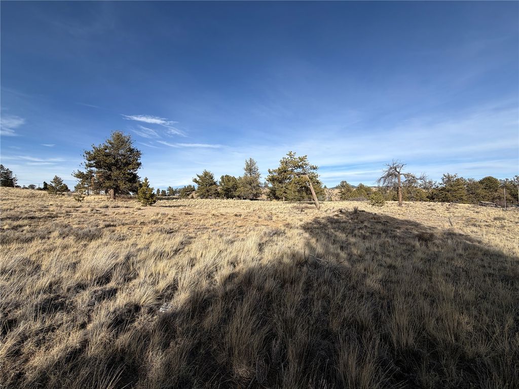 Photo of Oak Street, Hartsel, CO 80449 (MLS # S1066395)