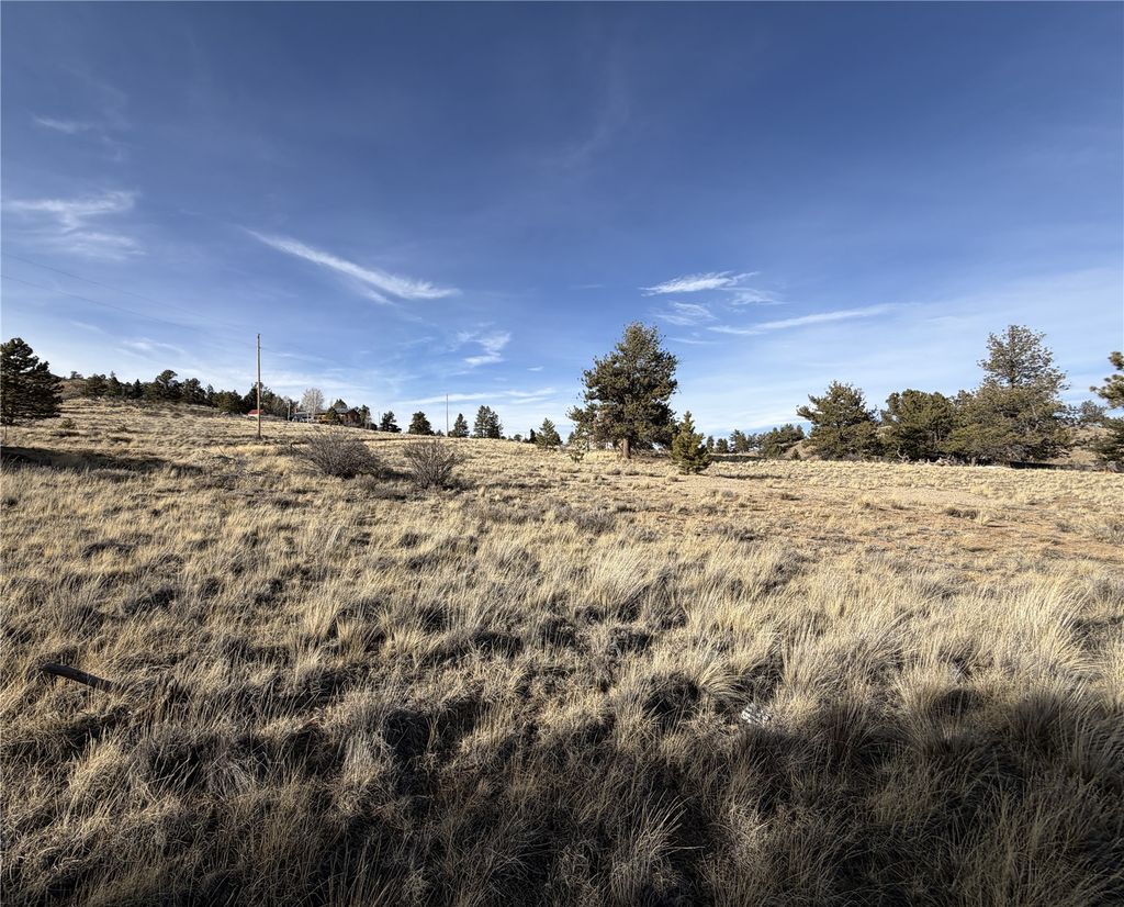 Photo of Oak Street, Hartsel, CO 80449 (MLS # S1066395)