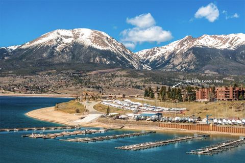 Photo of 160 E La Bonte Street #102, Dillon, CO 80435 (MLS # S1068221)