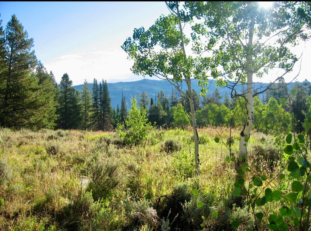 Photo of 33413 Tewa Way, Oak Creek, CO 80467 (MLS # S1066396)