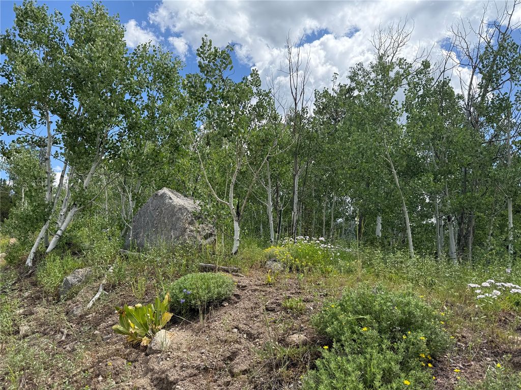 Photo of 33413 Tewa Way, Oak Creek, CO 80467 (MLS # S1066396)