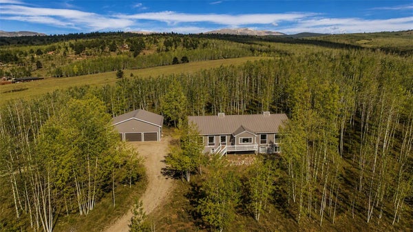 331 CANTHOOK LN, FAIRPLAY, CO 80440 - Image e07b0a3d5de5501ec5b3fecb9410a55e/3242448297