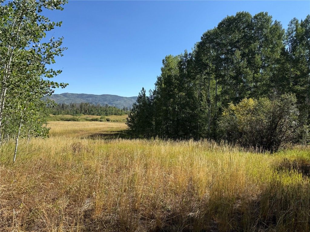 Photo of 37 Colt Trail, Oak Creek, CO 80467 (MLS # S1062352)