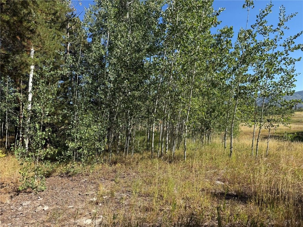 Photo of 37 Colt Trail, Oak Creek, CO 80467 (MLS # S1062352)