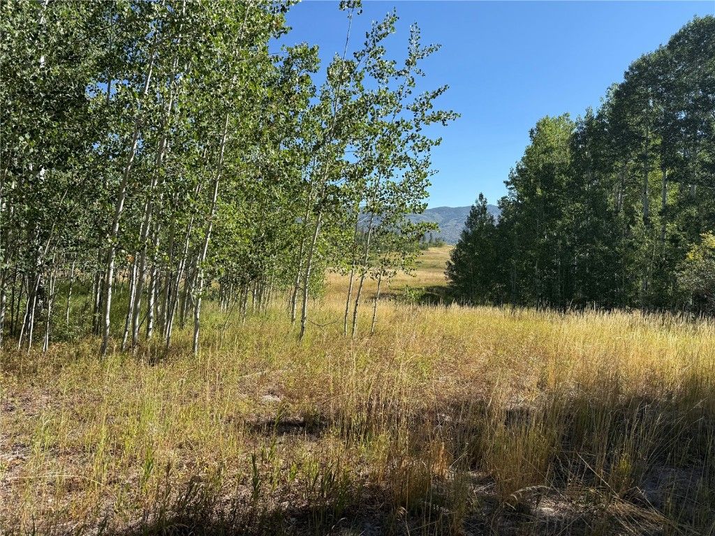 Photo of 37 Colt Trail, Oak Creek, CO 80467 (MLS # S1062352)