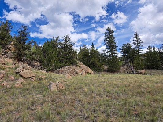 736 STAGESTOP RD, JEFFERSON, CO 80456 - Image e0d6381b9490c6d981a5f91c532df0e3/1997977972