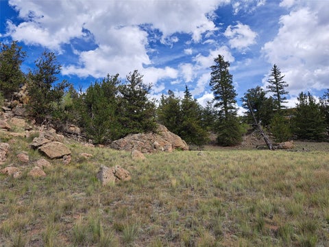 Photo of 736 Stagestop Road, Jefferson, CO 80456 (MLS # S1071622)