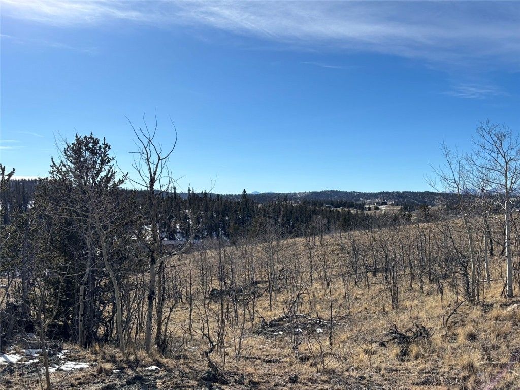 Photo of 29 Strelets Way, Como, CO 80432 (MLS # S1064590)