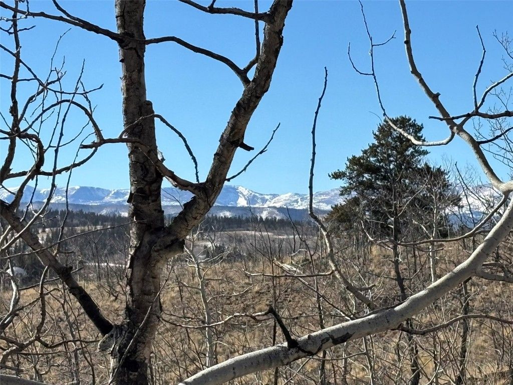 Photo of 29 Strelets Way, Como, CO 80432 (MLS # S1064590)