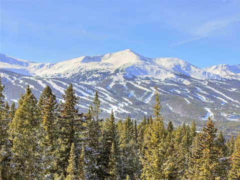 Photo of 3362 Boreas Pass Road, Breckenridge, CO 80424 (MLS # S1067658)