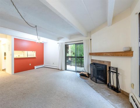 Photo of 222 Creekside Drive #213, Frisco, CO 80443 (MLS # S1063765)