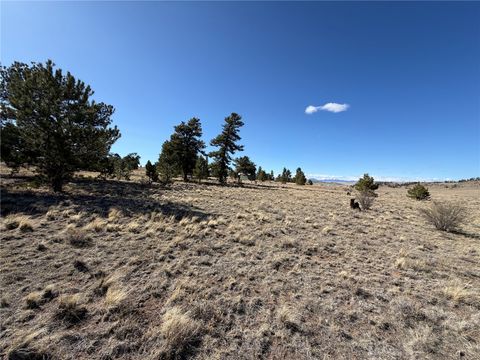 Photo of 616 Guipago Trail, Hartsel, CO 80449 (MLS # S1068269)