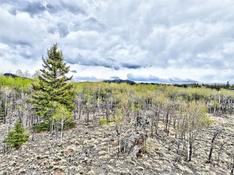 Photo of 71 Mallard Road, Como, CO 80432 (MLS # S1069091)