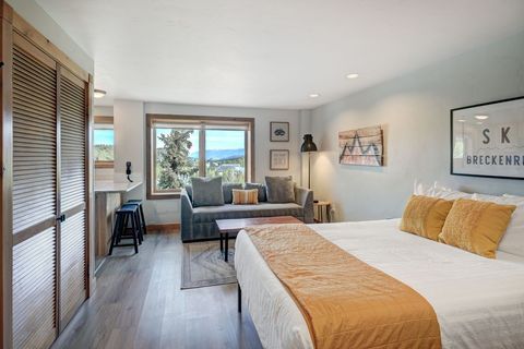 Photo of 535 S Park Avenue #317, Breckenridge, CO 80424 (MLS # S1069405)