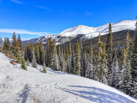 Photo of 484 Carroll Lane, Breckenridge, CO 80424 (MLS # S1068399)