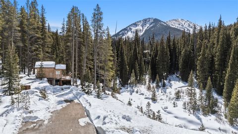 Photo of 5080 Montezuma Road, Montezuma, CO 80435 (MLS # S1067655)