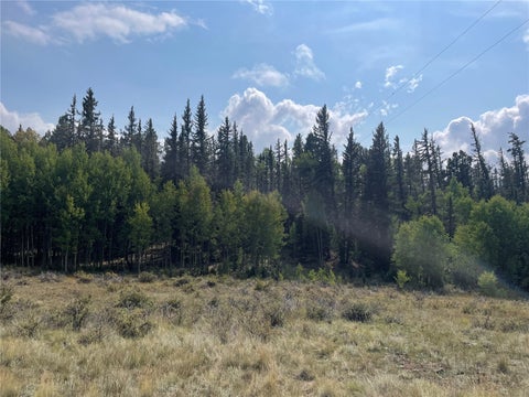 Photo of 491 Longbow Drive W, Como, CO 80432 (MLS # S1071645)