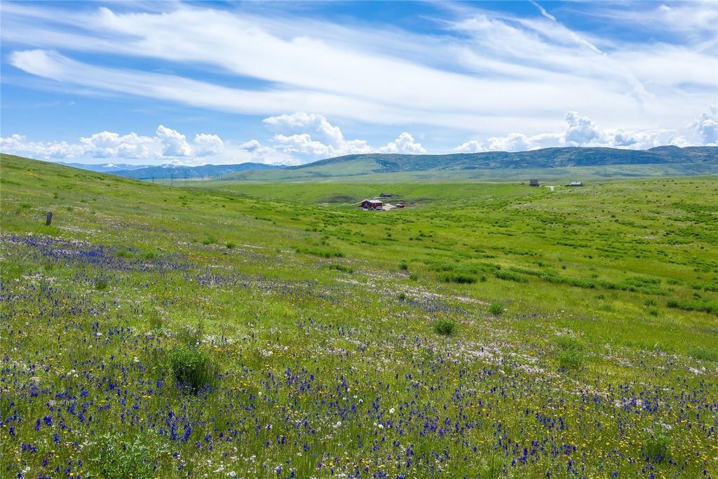 Photo of 35555 County Road 59, Hayden, CO 81639 (MLS # S1059520)