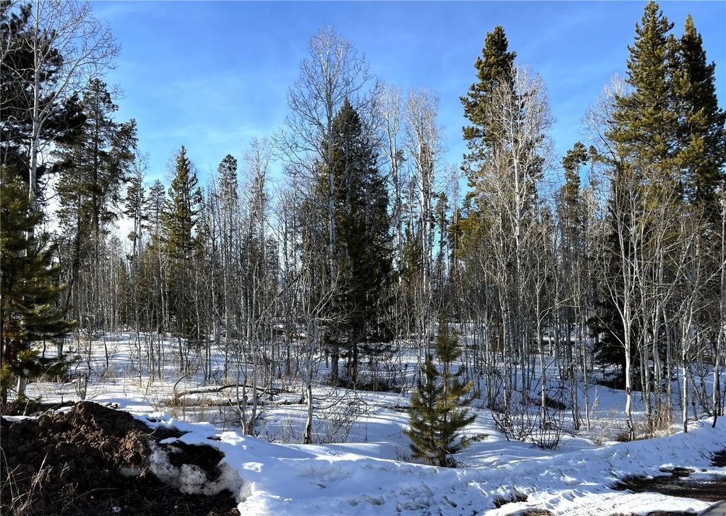 Photo of 26 Quarter Horse Way, Oak Creek, CO 80467 (MLS # S1065973)