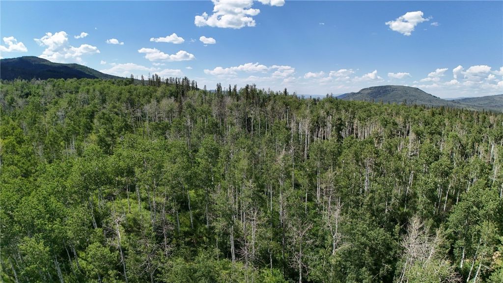 Photo of 23 Gallop Trail, Oak Creek, CO 80467 (MLS # S1061335)