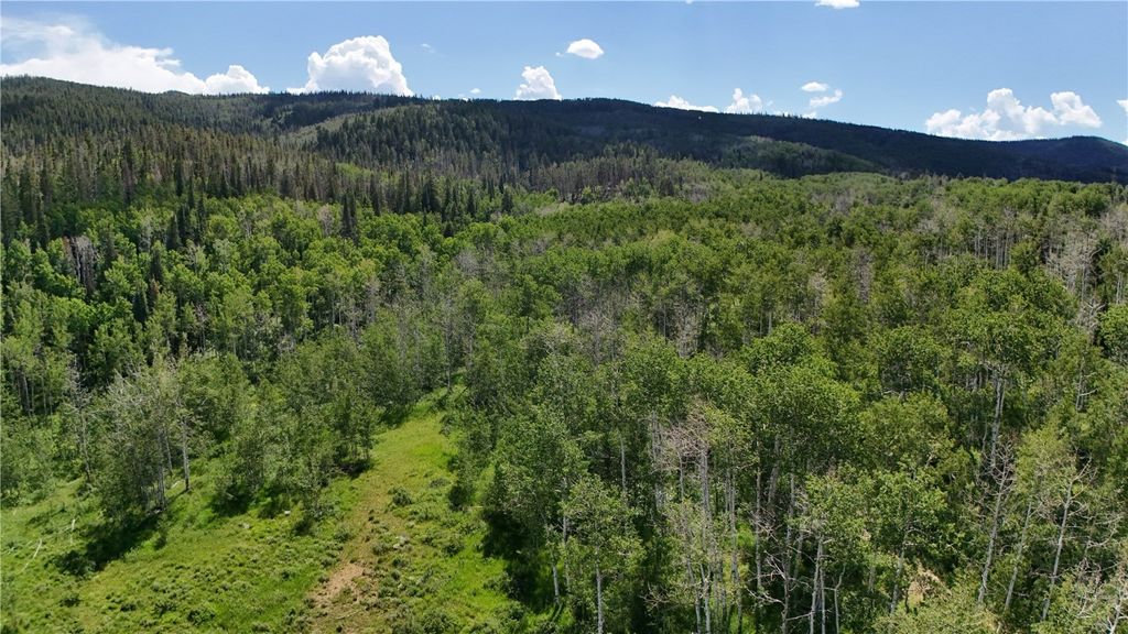 Photo of 23 Gallop Trail, Oak Creek, CO 80467 (MLS # S1061335)