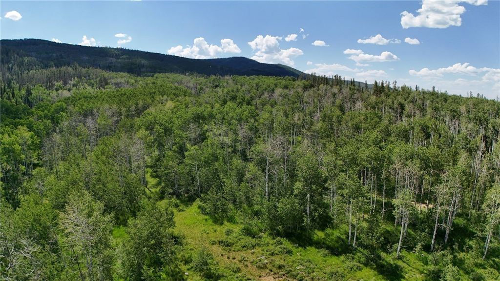 Photo of 23 Gallop Trail, Oak Creek, CO 80467 (MLS # S1061335)