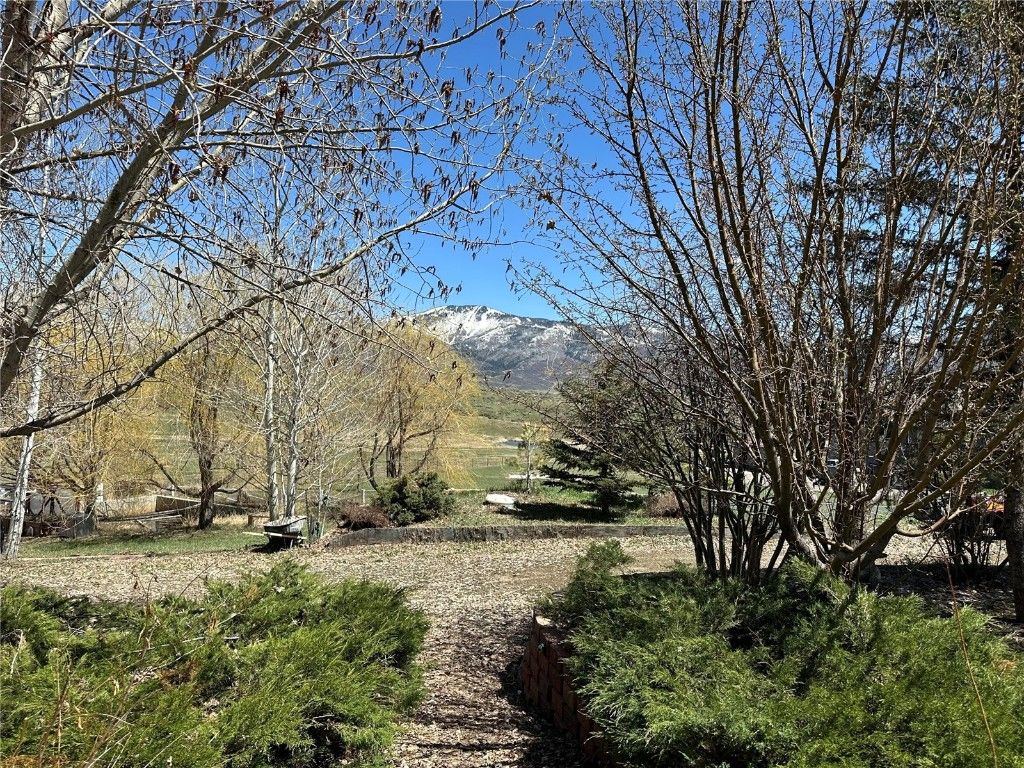 Photo of 31030 Willow Lane, Steamboat Springs, CO 80487 (MLS # S1061929)