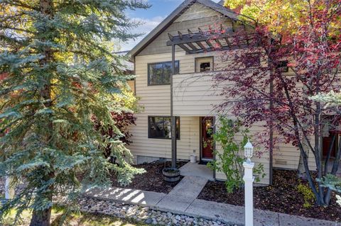 Photo of 3464 Sunburst Court, Steamboat Springs, CO 80487 (MLS # S1063763)