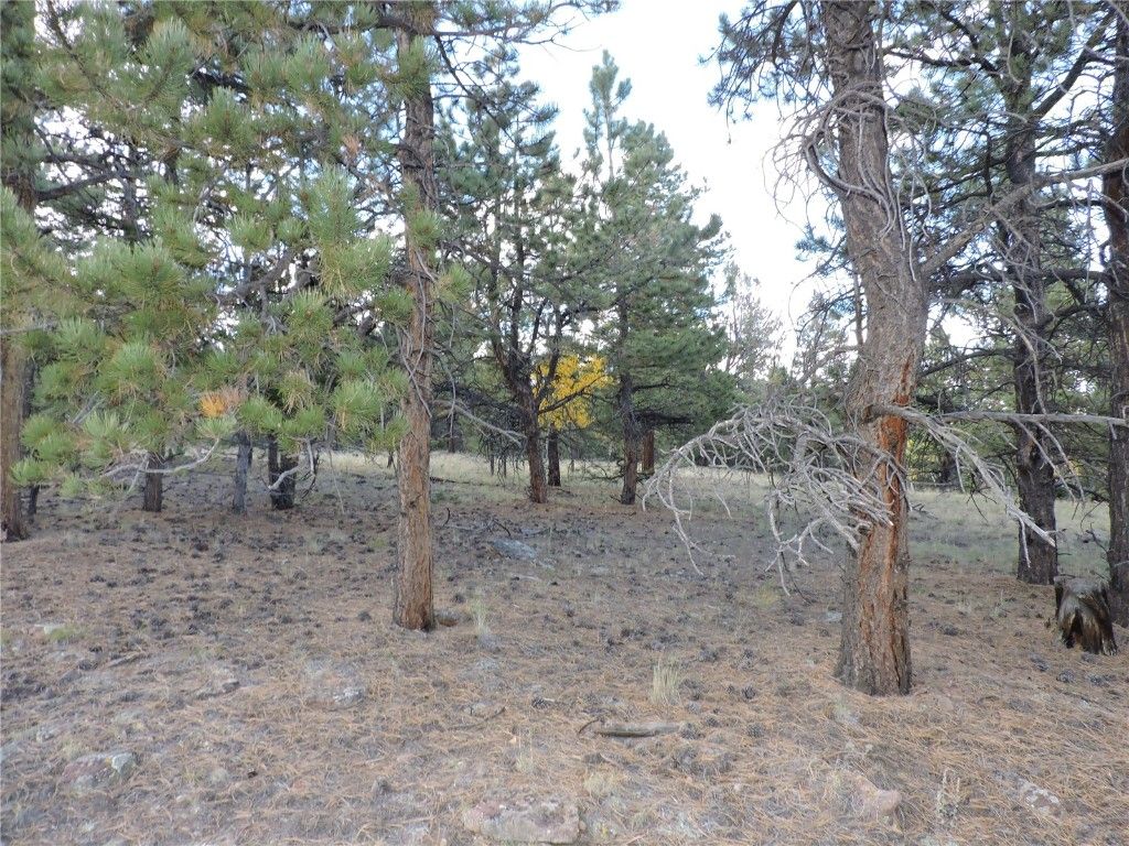 Photo of 5113 Campfire Road, Hartsel, CO 80449 (MLS # S1063861)