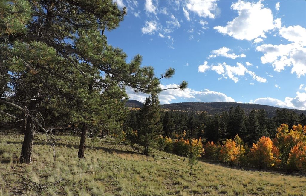 Photo of 5113 Campfire Road, Hartsel, CO 80449 (MLS # S1063861)