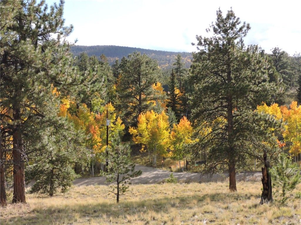 Photo of 5113 Campfire Road, Hartsel, CO 80449 (MLS # S1063861)