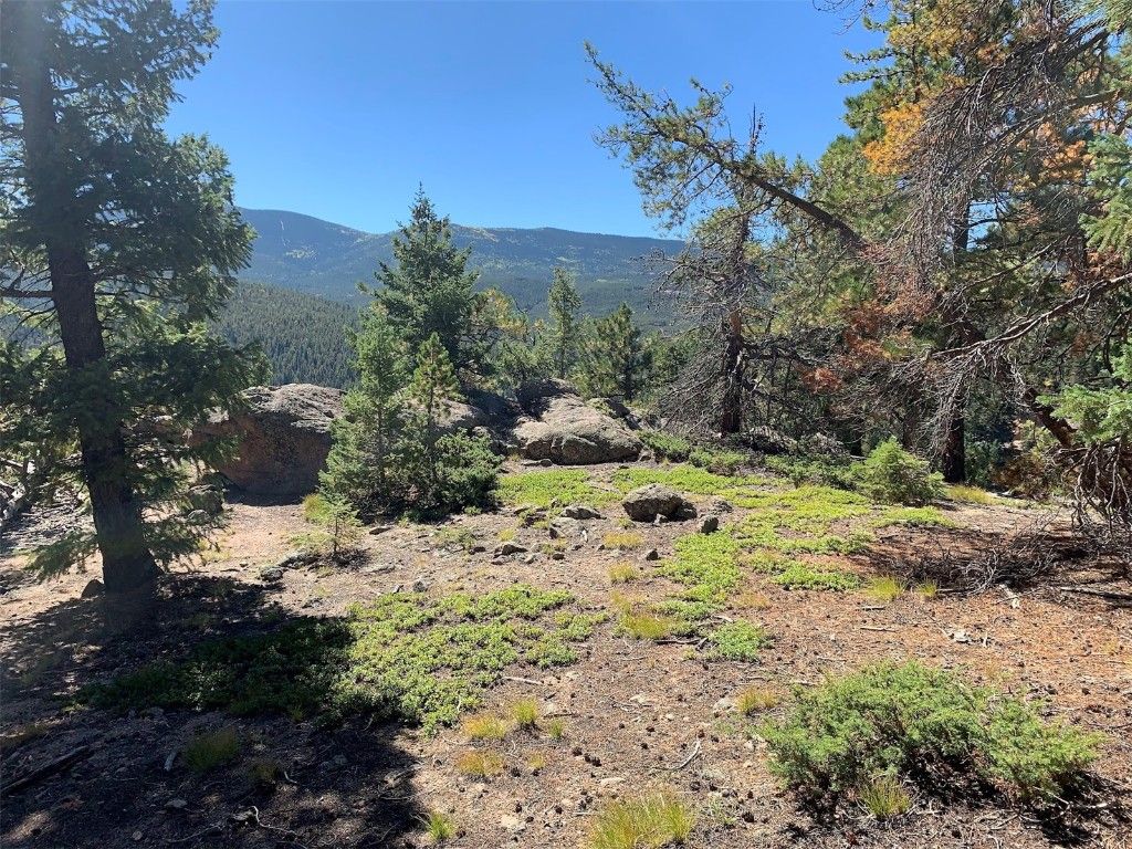 Photo of 32764 Lodgepole Circle, Evergreen, CO 80439 (MLS # S1064562)