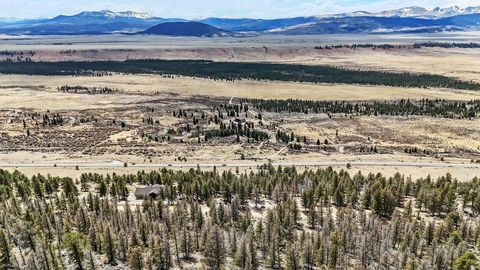 Photo of 2120 Bonell Drive, Fairplay, CO 80440 (MLS # S1068432)