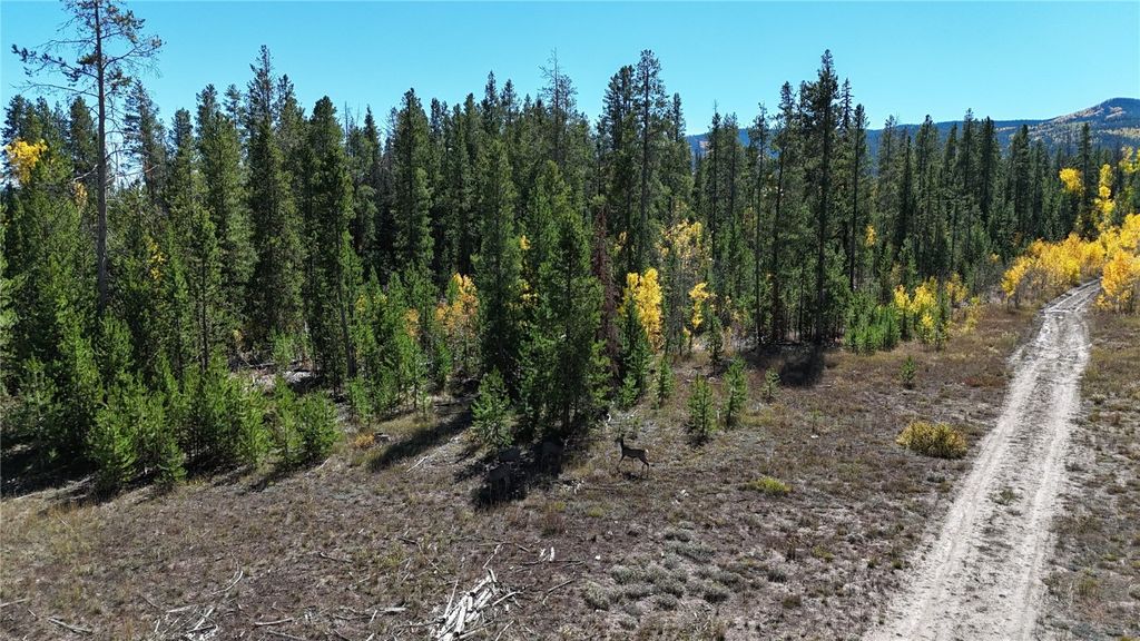 Photo of 33345 Appaloosa Way, Oak Creek, CO 80467 (MLS # S1062677)