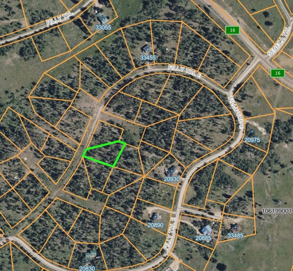 Photo of 33345 Appaloosa Way, Oak Creek, CO 80467 (MLS # S1062677)