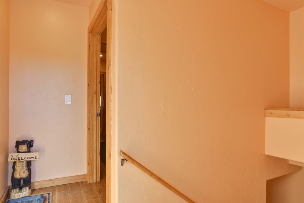 Photo of 155 Lamb Mountain Road, Fairplay, CO 80440 (MLS # S1065860)