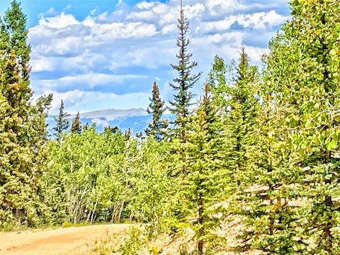 Photo of 224 Apache Trail, Como, CO 80432 (MLS # S1069093)